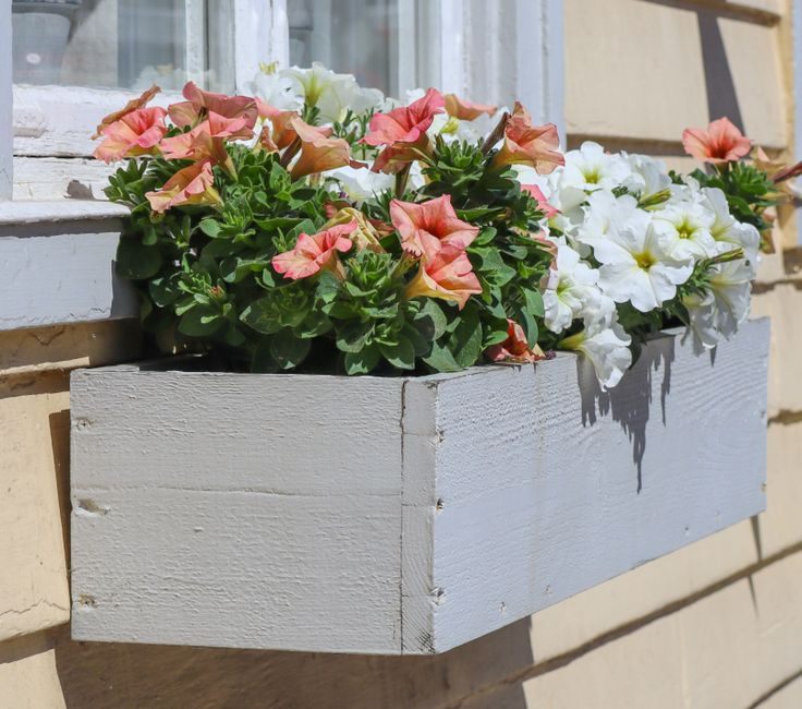 Coffret Fleurs Surprise